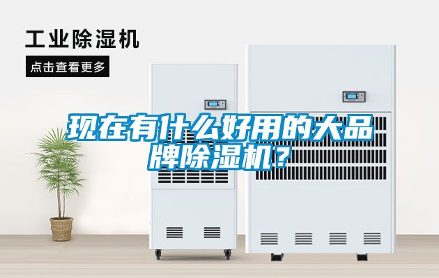 現在有什么好用的大品牌除濕機？