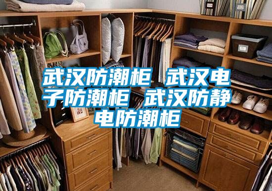 武漢防潮柜 武漢電子防潮柜 武漢防靜電防潮柜