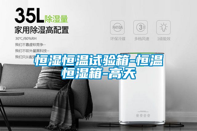 恒濕恒溫試驗箱-恒溫恒濕箱-高天