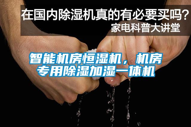 智能機房恒濕機，機房專用除濕加濕一體機