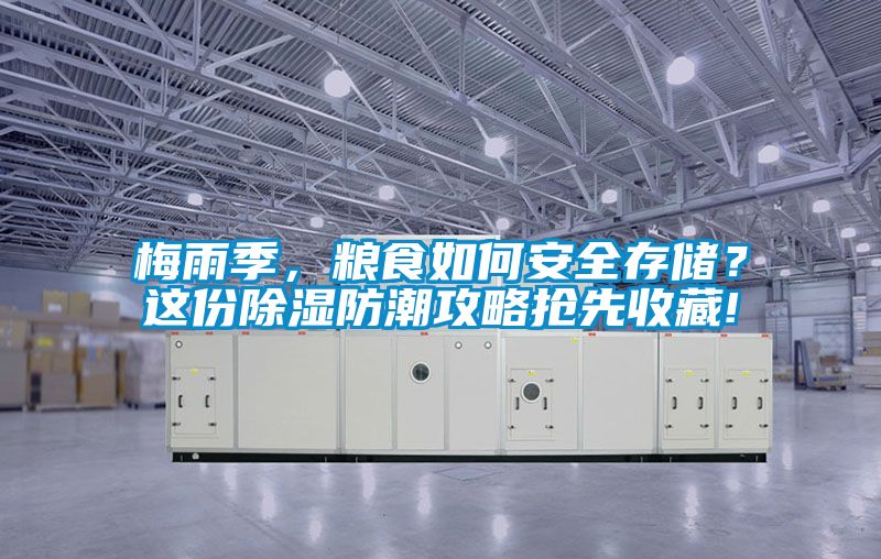 梅雨季，糧食如何安全存儲？這份除濕防潮攻略搶先收藏!