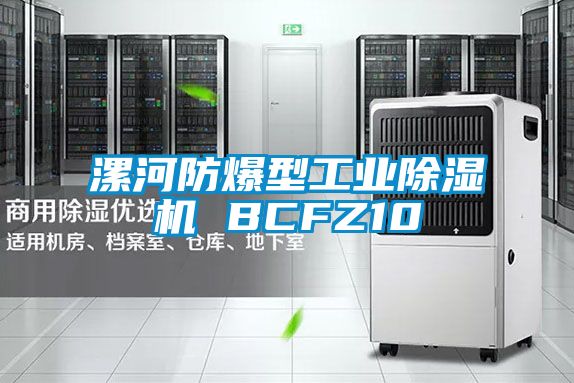 漯河防爆型工業(yè)除濕機(jī) BCFZ10