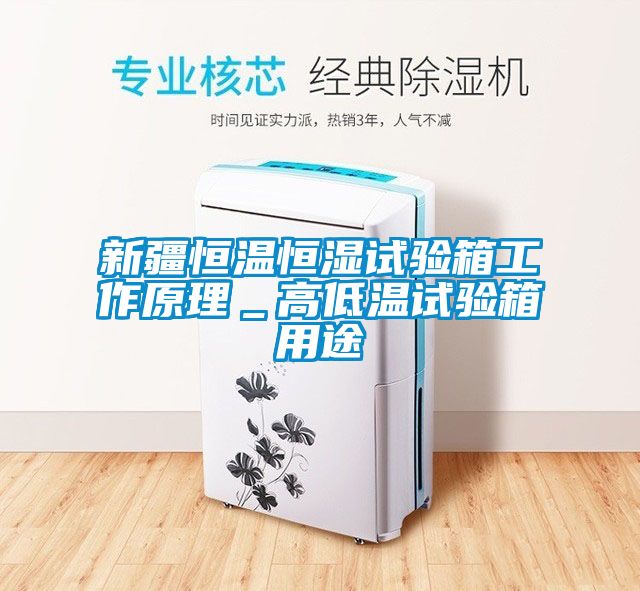 新疆恒溫恒濕試驗箱工作原理＿高低溫試驗箱用途