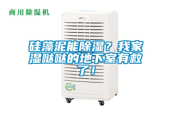 硅藻泥能除濕？我家濕噠噠的地下室有救了！
