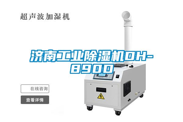 濟南工業除濕機DH-890D