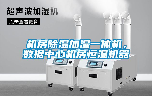 機房除濕加濕一體機，數據中心機房恒濕機器