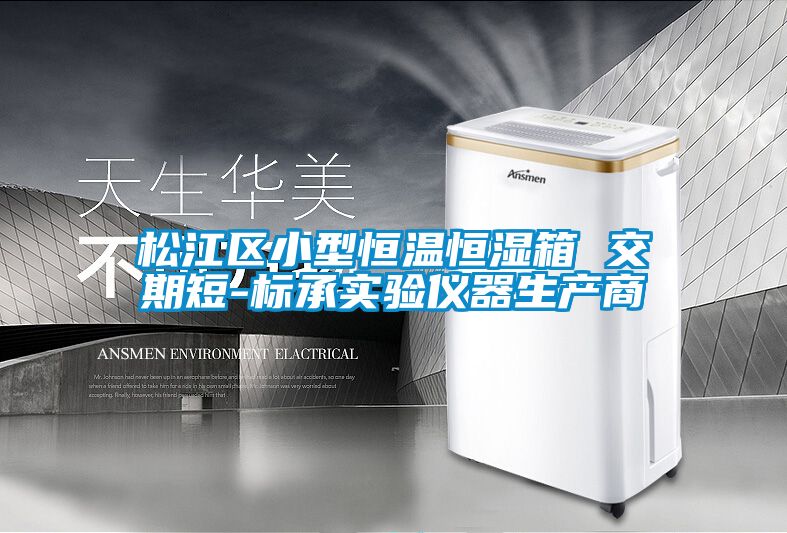 松江區(qū)小型恒溫恒濕箱 交期短-標承實驗儀器生產(chǎn)商