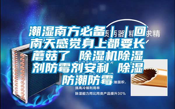 潮濕南方必備｜｜回南天感覺身上都要長蘑菇了 除濕機(jī)除濕劑防霉劑安利 除濕防潮防霉