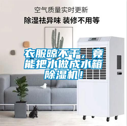 衣服晾不干，竟能把水做成水箱除濕機(jī)！
