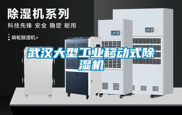 武漢大型工業(yè)移動(dòng)式除濕機(jī)