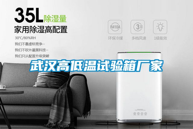 武漢高低溫試驗箱廠家