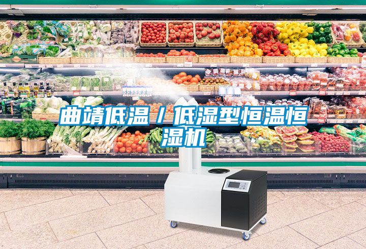 曲靖低溫／低濕型恒溫恒濕機