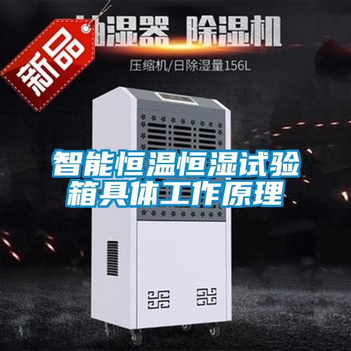 智能恒溫恒濕試驗箱具體工作原理
