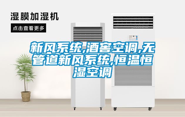 新風(fēng)系統(tǒng),酒窖空調(diào),無(wú)管道新風(fēng)系統(tǒng),恒溫恒濕空調(diào)