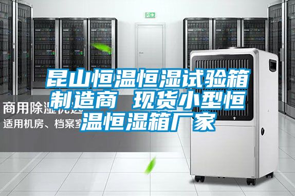 昆山恒溫恒濕試驗箱制造商 現貨小型恒溫恒濕箱廠家