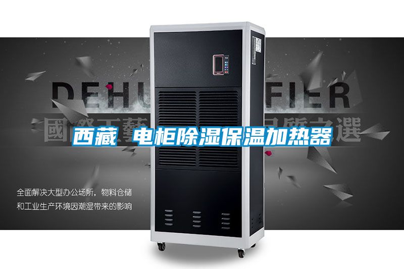 西藏 電柜除濕保溫加熱器