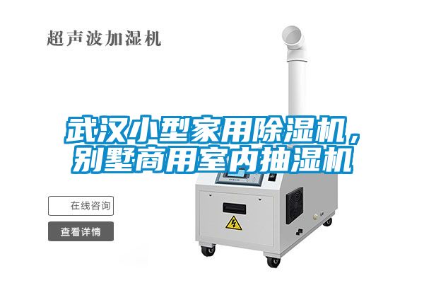 武漢小型家用除濕機，別墅商用室內抽濕機