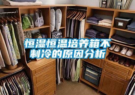 恒濕恒溫培養(yǎng)箱不制冷的原因分析