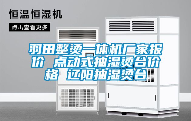 羽田整燙一體機廠家報價 點動式抽濕燙臺價格 遼陽抽濕燙臺