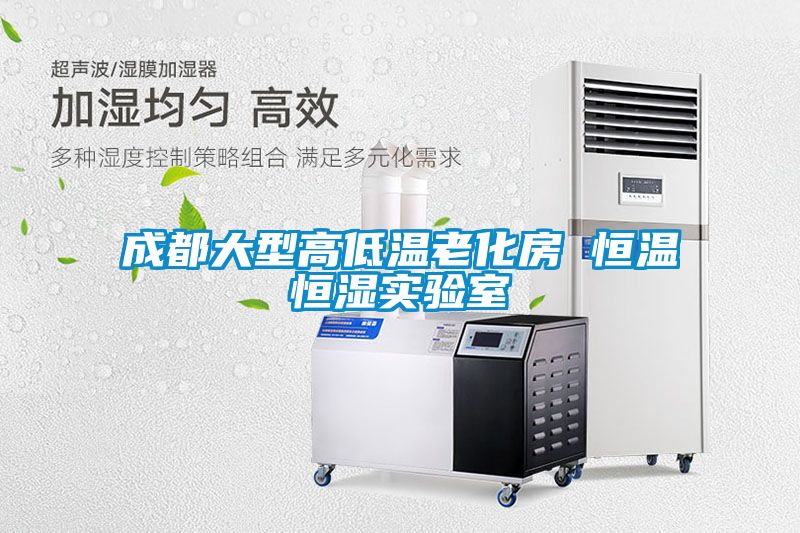 成都大型高低溫老化房 恒溫恒濕實驗室