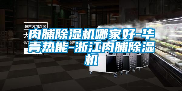 肉脯除濕機哪家好-華青熱能-浙江肉脯除濕機