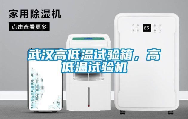 武漢高低溫試驗(yàn)箱，高低溫試驗(yàn)機(jī)