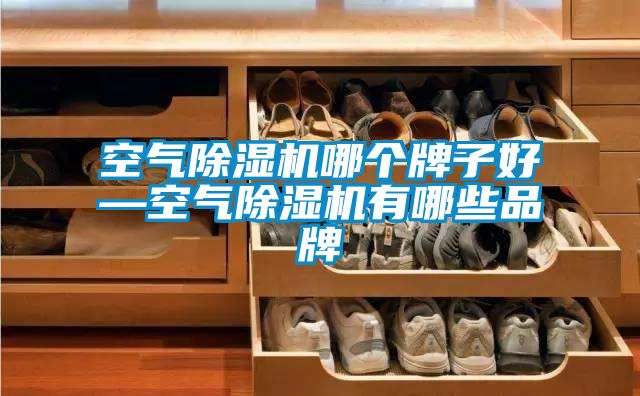 空氣除濕機(jī)哪個(gè)牌子好—空氣除濕機(jī)有哪些品牌