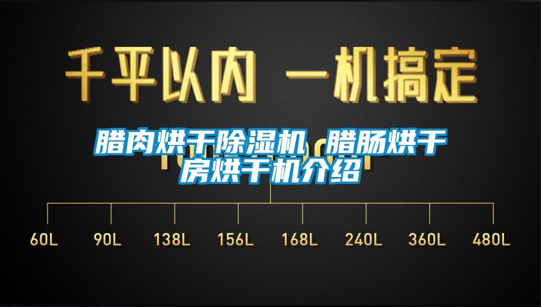 臘肉烘干除濕機 臘腸烘干房烘干機介紹