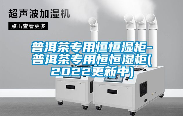 普洱茶專用恒恒濕柜-普洱茶專用恒恒濕柜(2022更新中)
