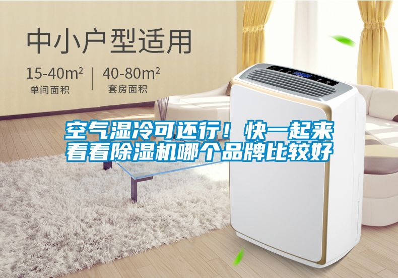 空氣濕冷可還行！快一起來看看除濕機(jī)哪個品牌比較好