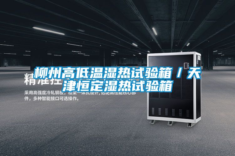 柳州高低溫濕熱試驗箱／天津恒定濕熱試驗箱