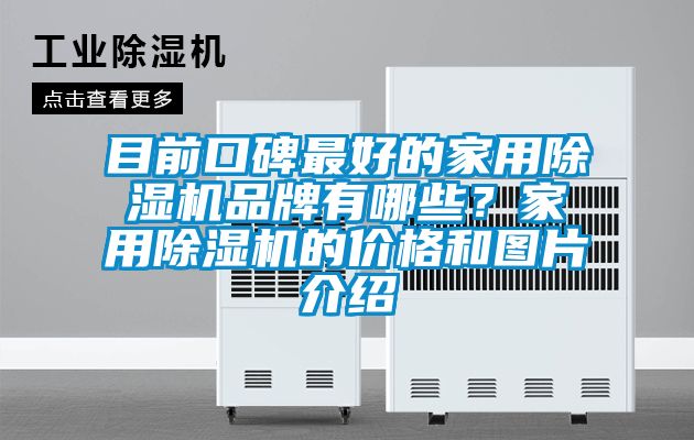 目前口碑最好的家用除濕機品牌有哪些？家用除濕機的價格和圖片介紹