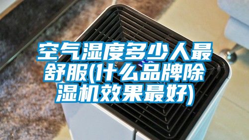 空氣濕度多少人最舒服(什么品牌除濕機效果最好)