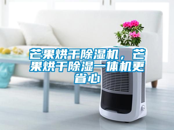 芒果烘干除濕機，芒果烘干除濕一體機更省心