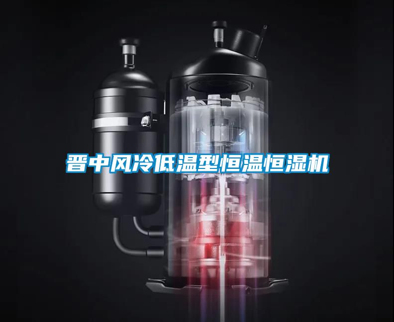 晉中風(fēng)冷低溫型恒溫恒濕機(jī)