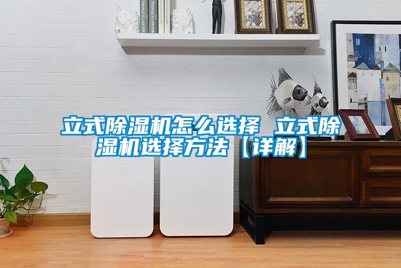 立式除濕機怎么選擇 立式除濕機選擇方法【詳解】