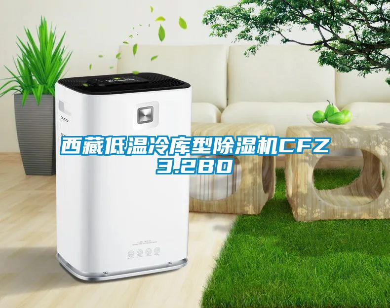 西藏低溫冷庫型除濕機(jī)CFZ3.2BD