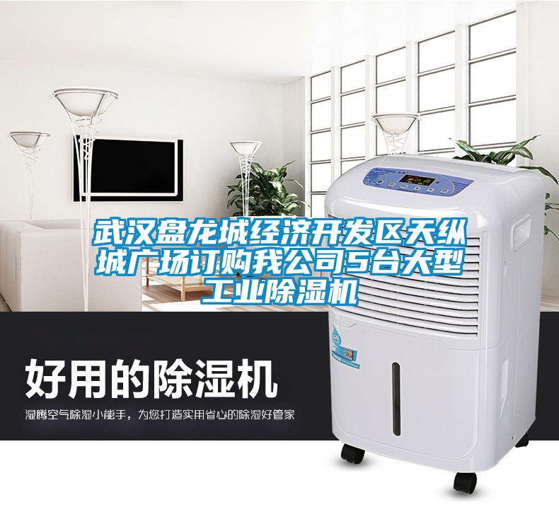 武漢盤龍城經濟開發區天縱城廣場訂購我公司5臺大型工業除濕機