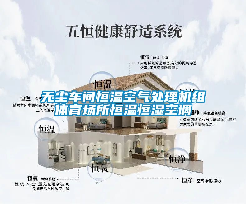 無塵車間恒溫空氣處理機組體育場所恒溫恒濕空調(diào)