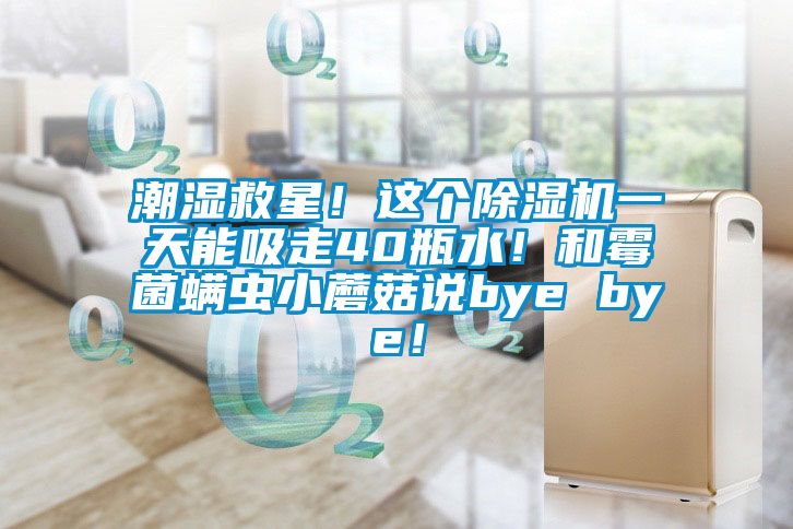 潮濕救星！這個除濕機一天能吸走40瓶水！和霉菌螨蟲小蘑菇說bye bye！