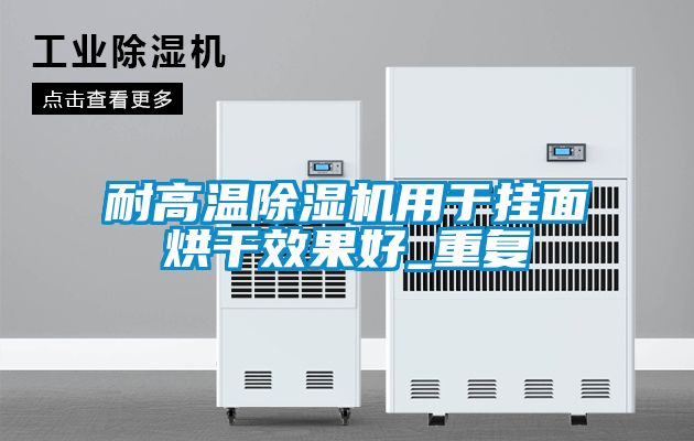 耐高溫除濕機(jī)用于掛面烘干效果好_重復(fù)