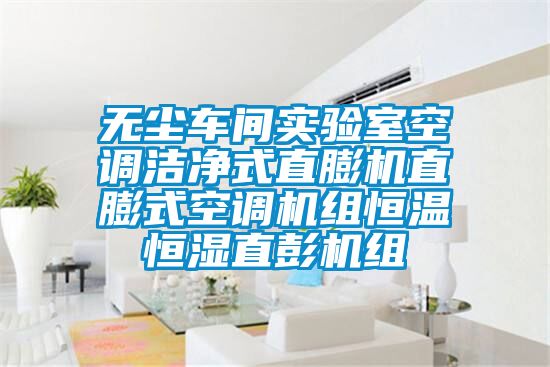 無塵車間實驗室空調潔凈式直膨機直膨式空調機組恒溫恒濕直彭機組