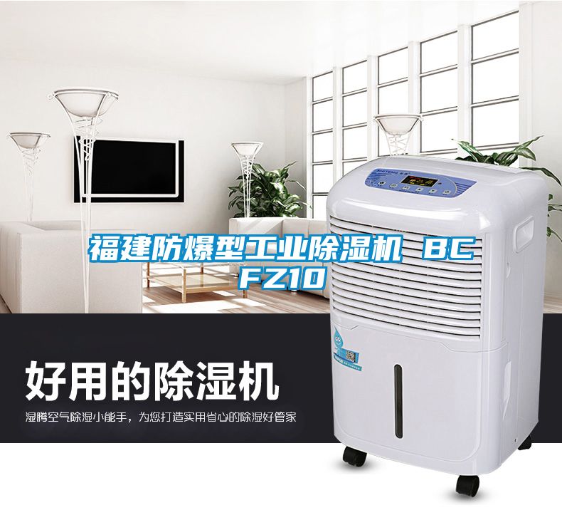 福建防爆型工業除濕機 BCFZ10