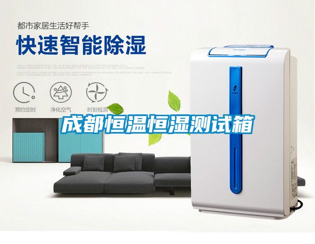 成都恒溫恒濕測試箱