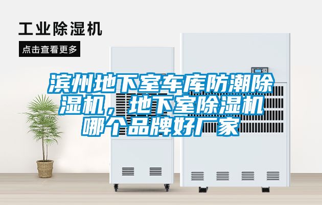 濱州地下室車庫防潮除濕機，地下室除濕機哪個品牌好廠家