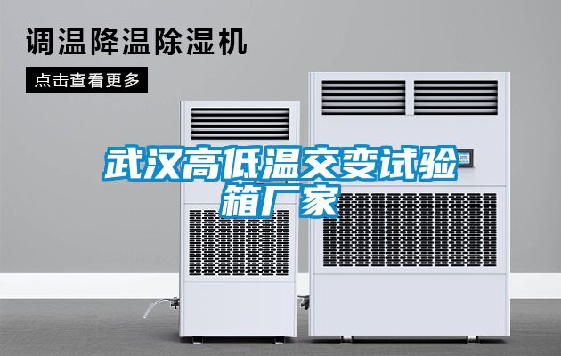 武漢高低溫交變試驗箱廠家