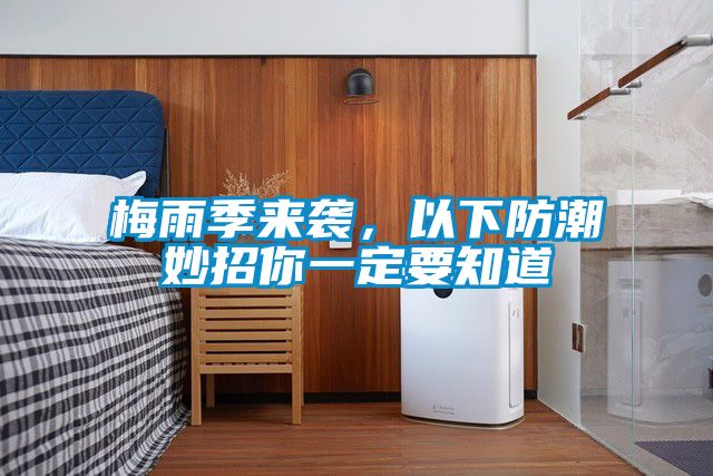 梅雨季來襲，以下防潮妙招你一定要知道