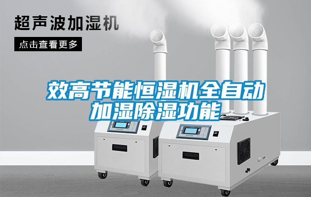 效高節能恒濕機全自動加濕除濕功能