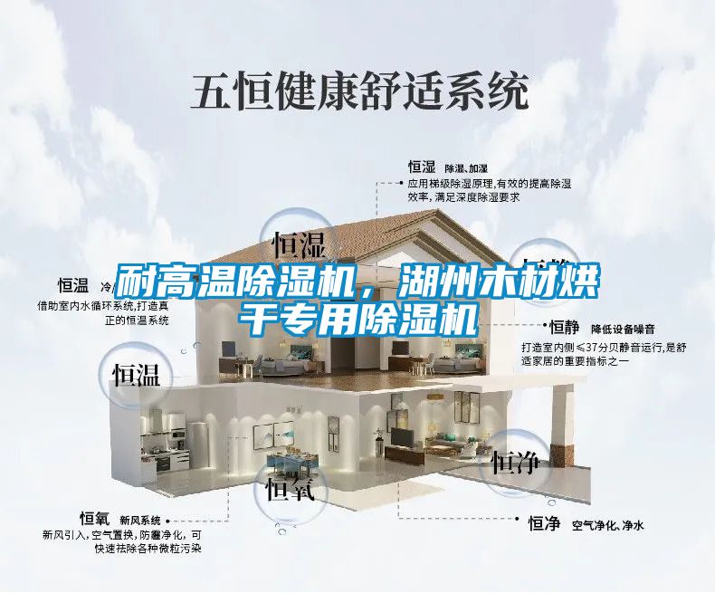 耐高溫除濕機，湖州木材烘干專用除濕機