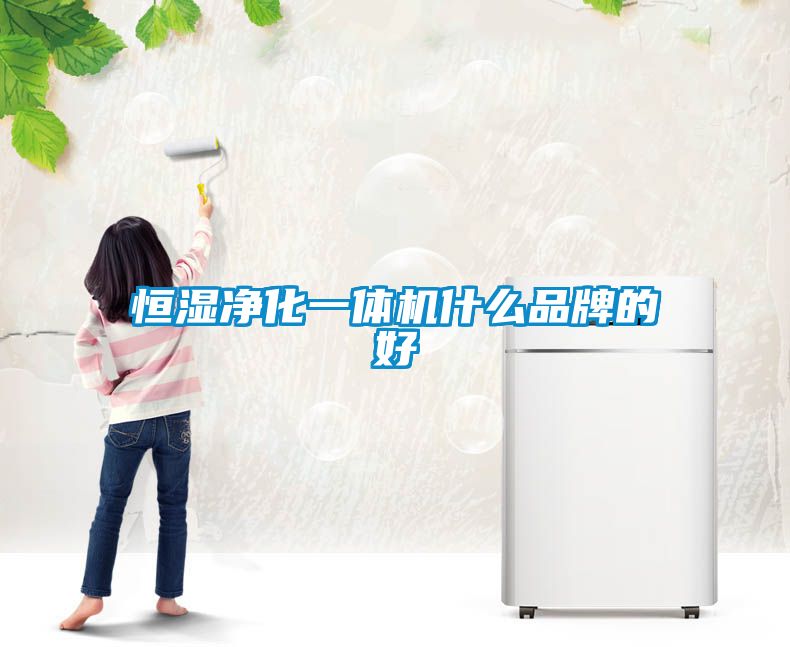 恒濕凈化一體機什么品牌的好